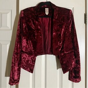 Decree Cropped Velvet Blazer Jacket - Wine